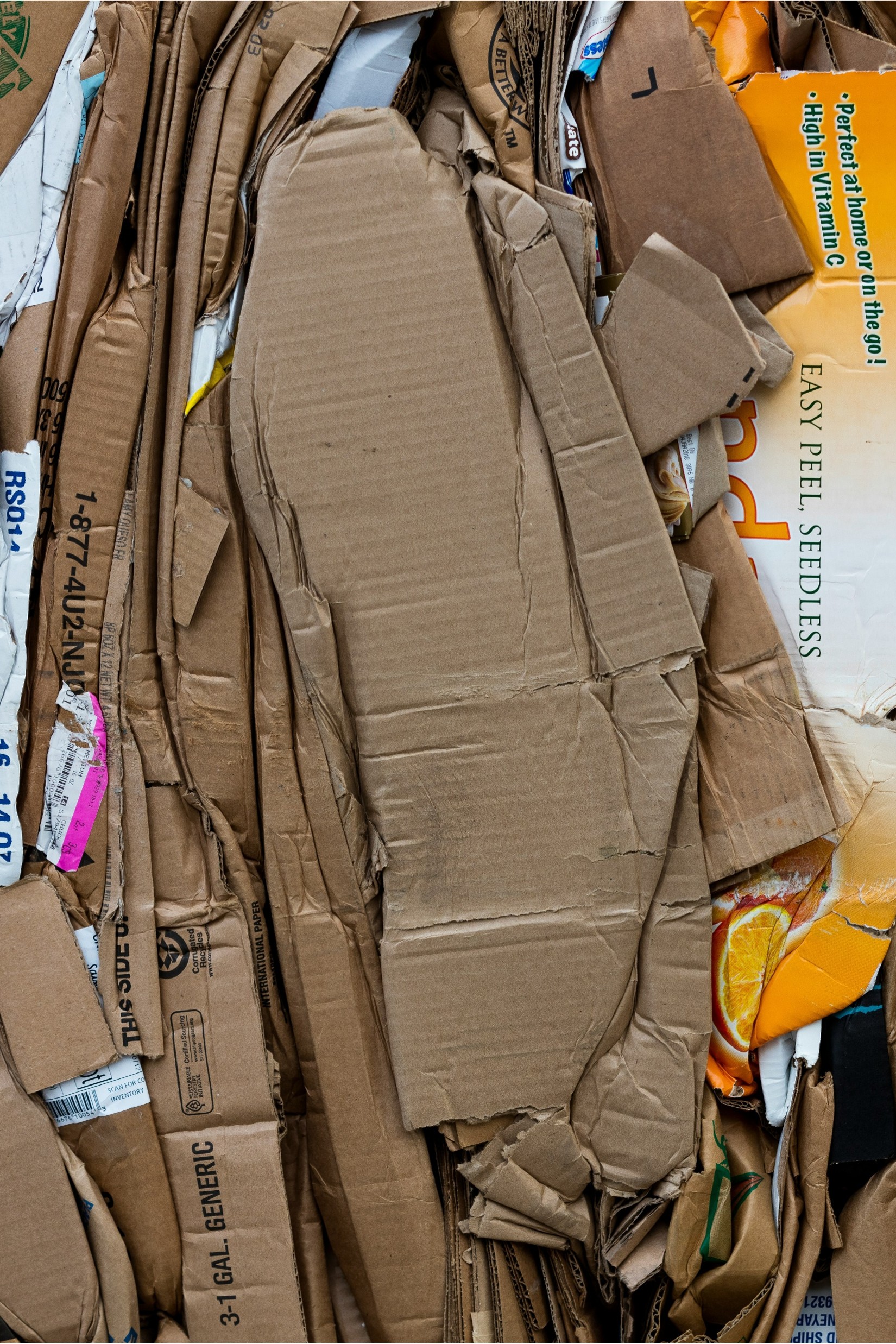 Cardboard