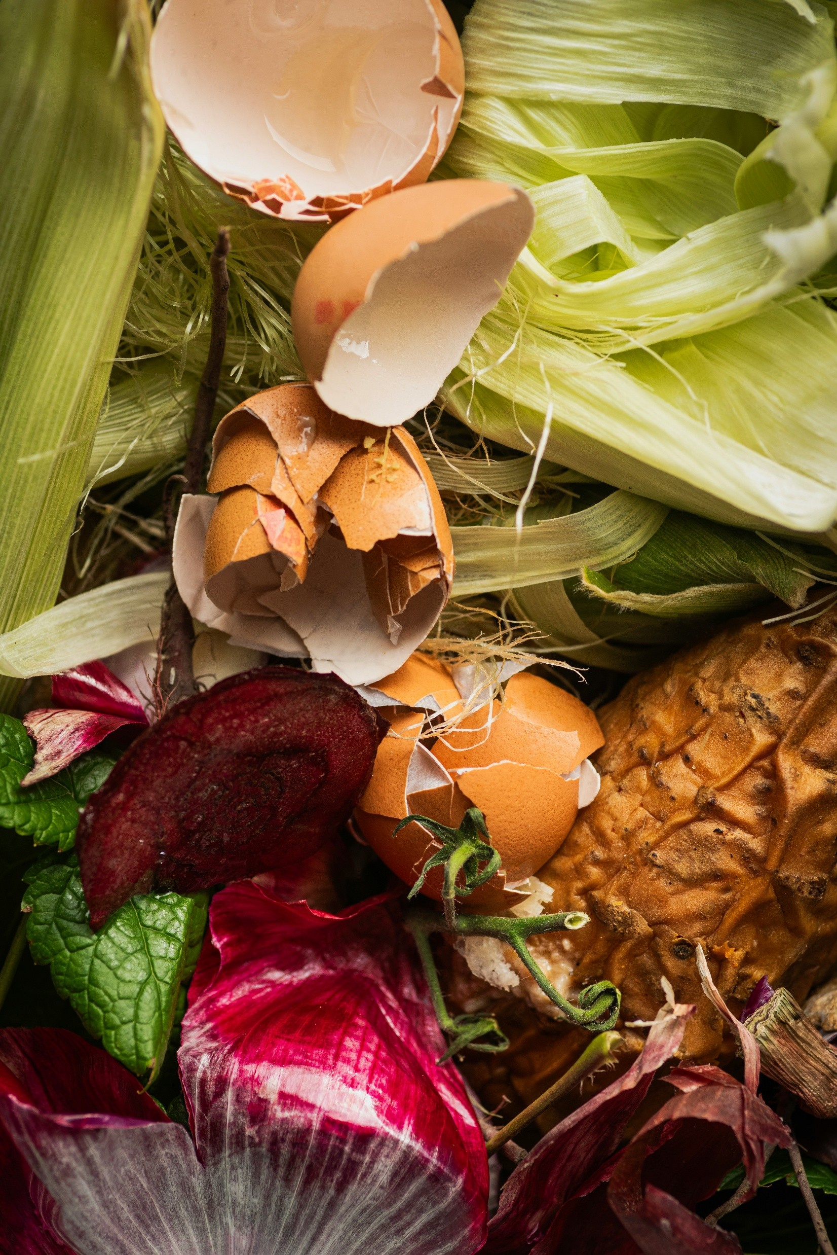 Food Waste